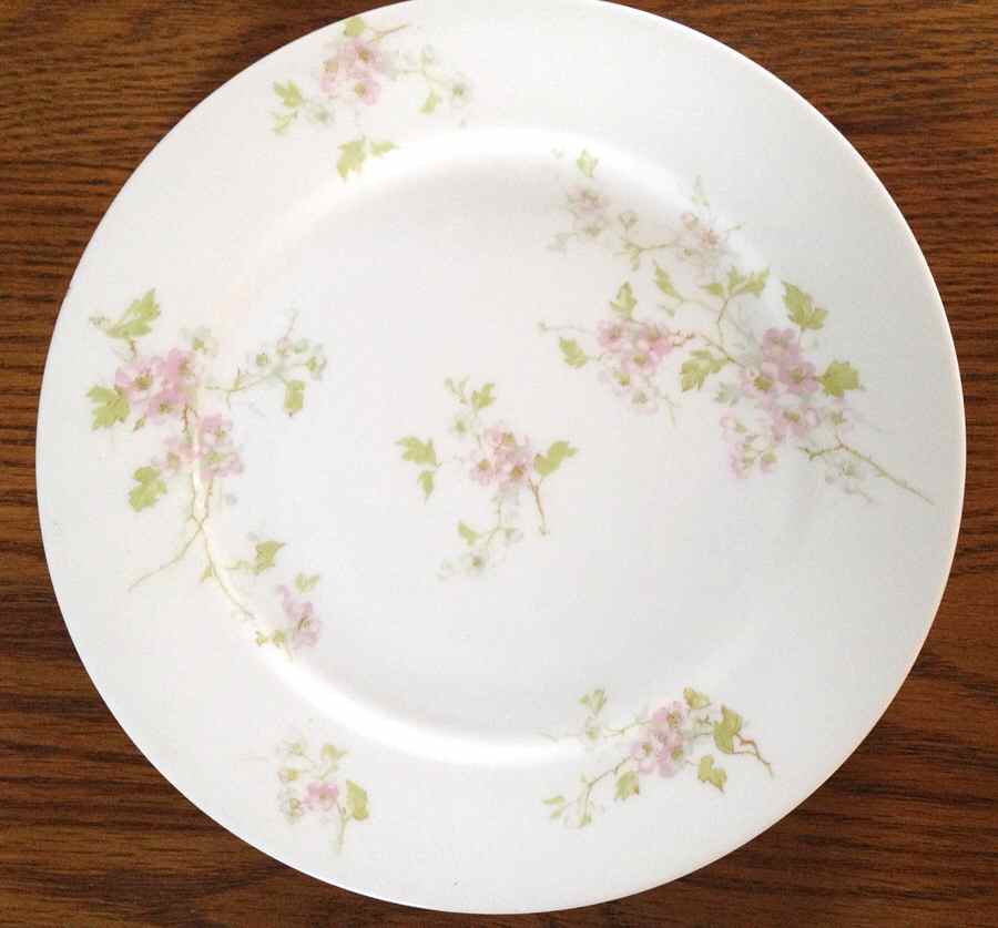 CHF1699 Dinner Plate by Charles Field Haviland-1