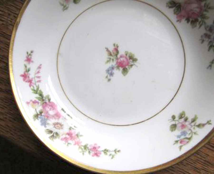 CHF1702 Dinner Plate by Charles Field Haviland-1