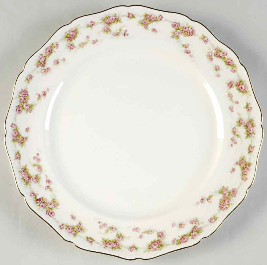 CAN273 Dinner Plate by Canonsburg-1