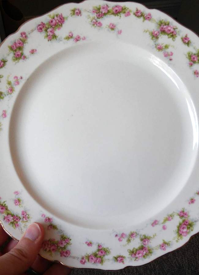 CAN273 Luncheon Plate by Canonsburg-1