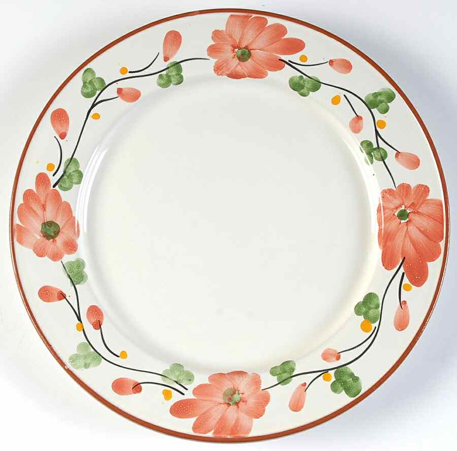 CPU8 Dinner Plate by Cost Plus-1