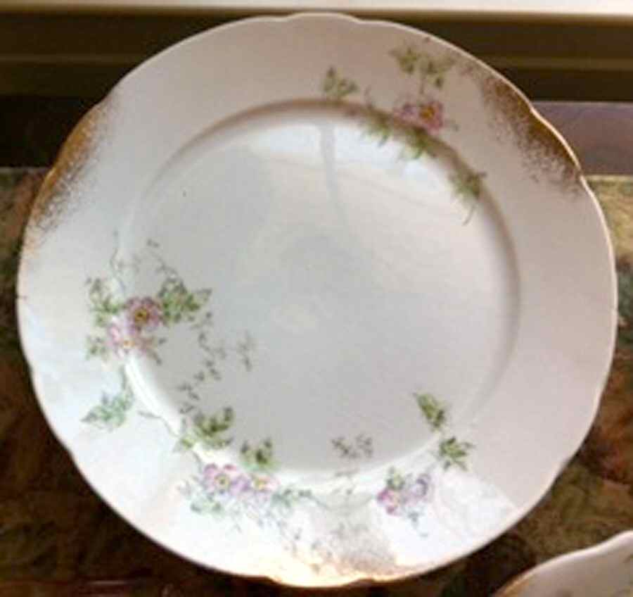 CSA29 Dinner Plate by Crescent China -1