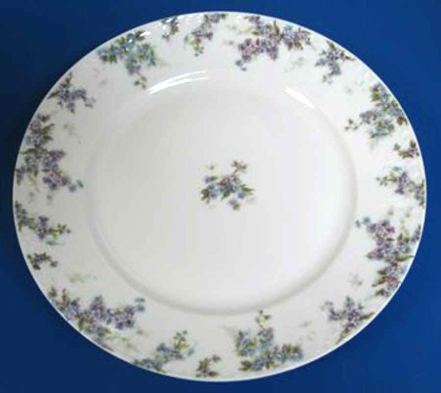 Schleiger 1289-6 Dinner Plate by Charles Field Haviland-1
