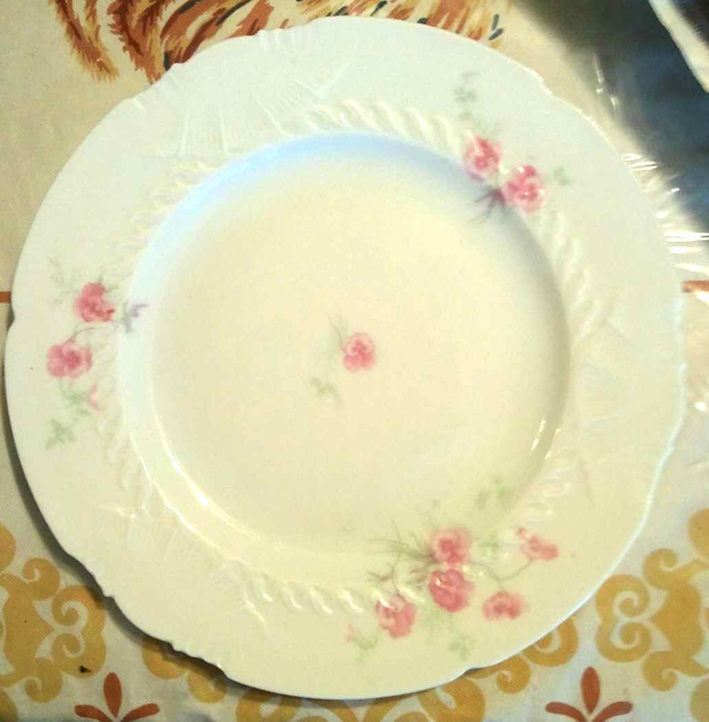 CAR209 Dinner Plate by Carlsbad-1