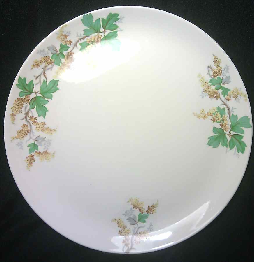 CRO374 Dinner Plate by Crooksville-1