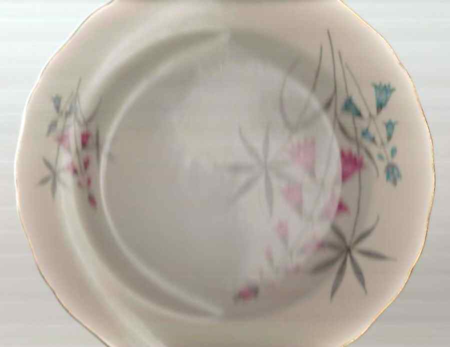 CAN276 Dinner Plate by Canonsburg-1