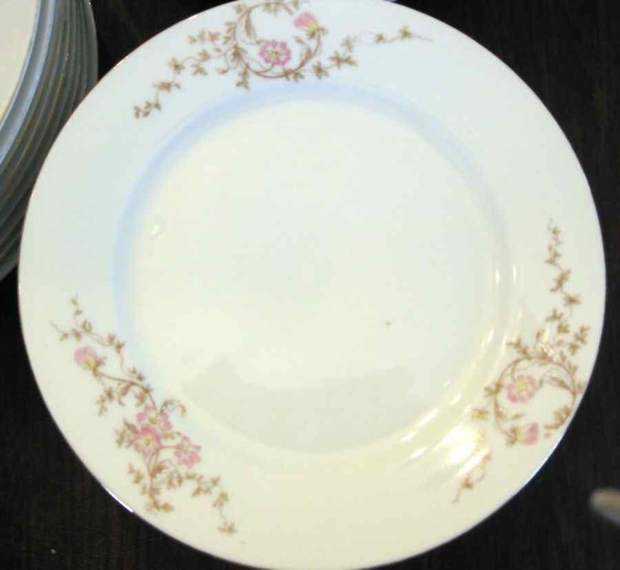 CAR211 Dinner Plate by Carlsbad-1