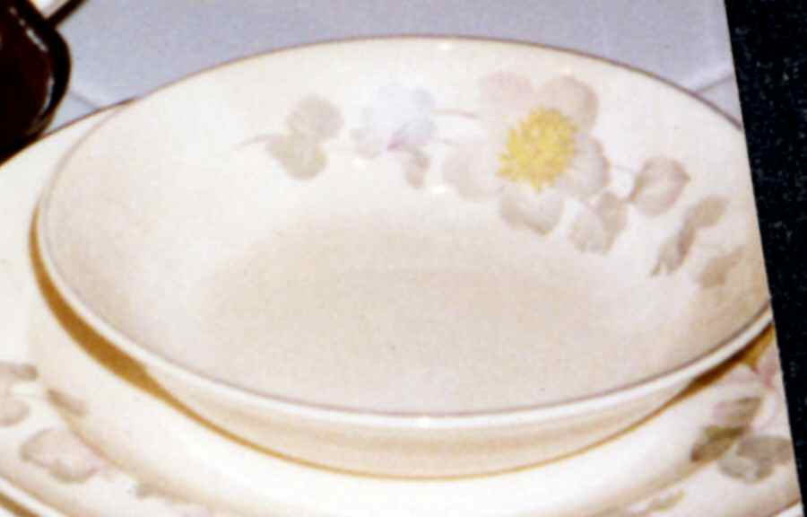 CSA30 Fruit/Dessert (Sauce) Bowl by Crescent China -1