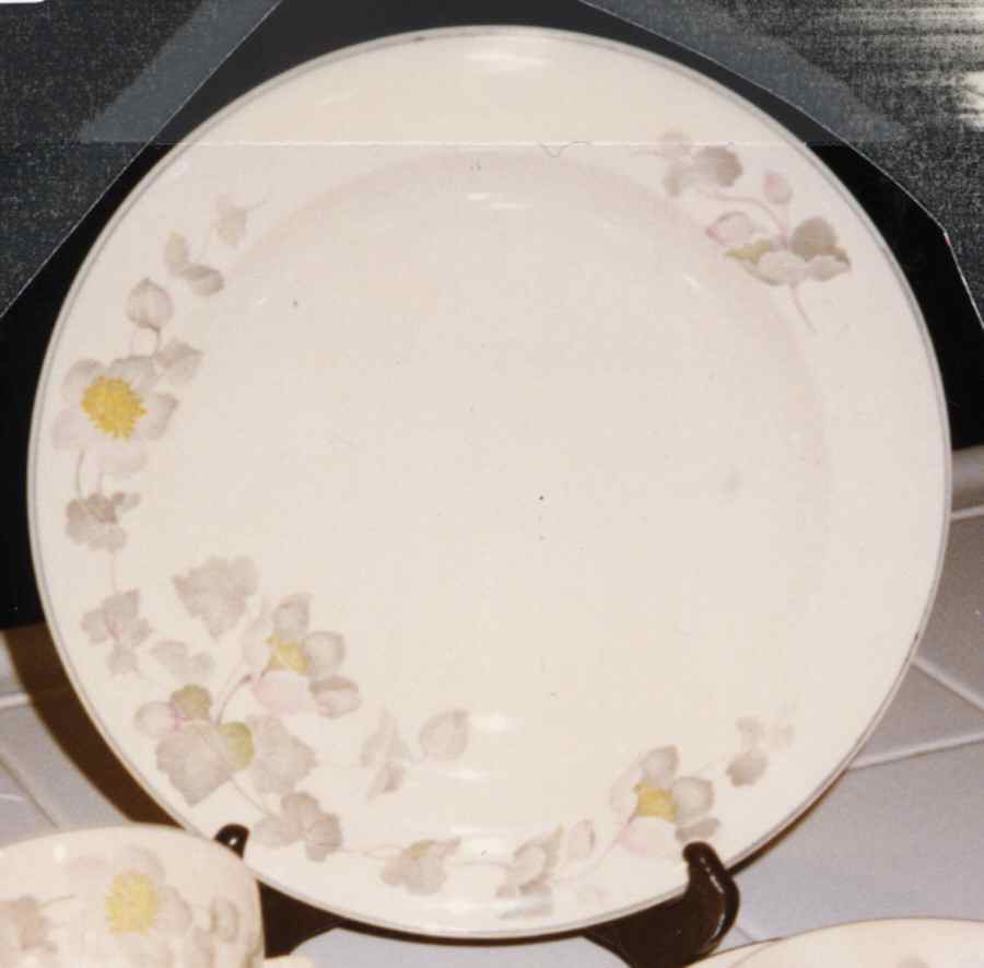 CSA30 Dinner Plate by Crescent China -1