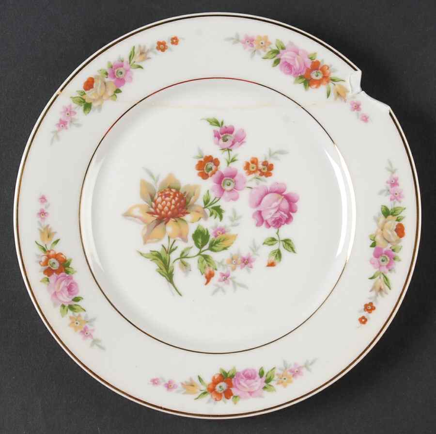CHF1718 Salad Plate by Charles Field Haviland-1