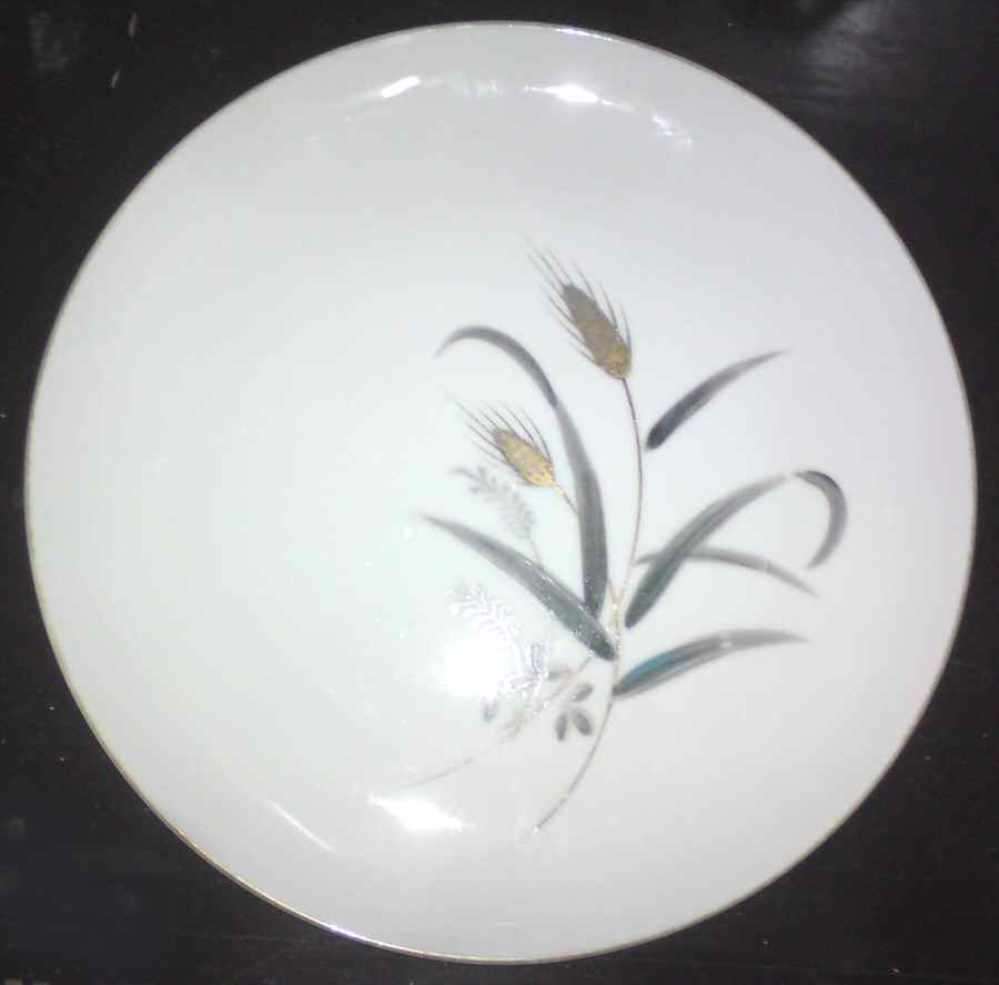 CX634 Dinner Plate by China (Made in China)-1