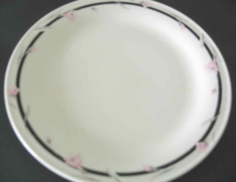 CQQ8 Dinner Plate by Ciera-1