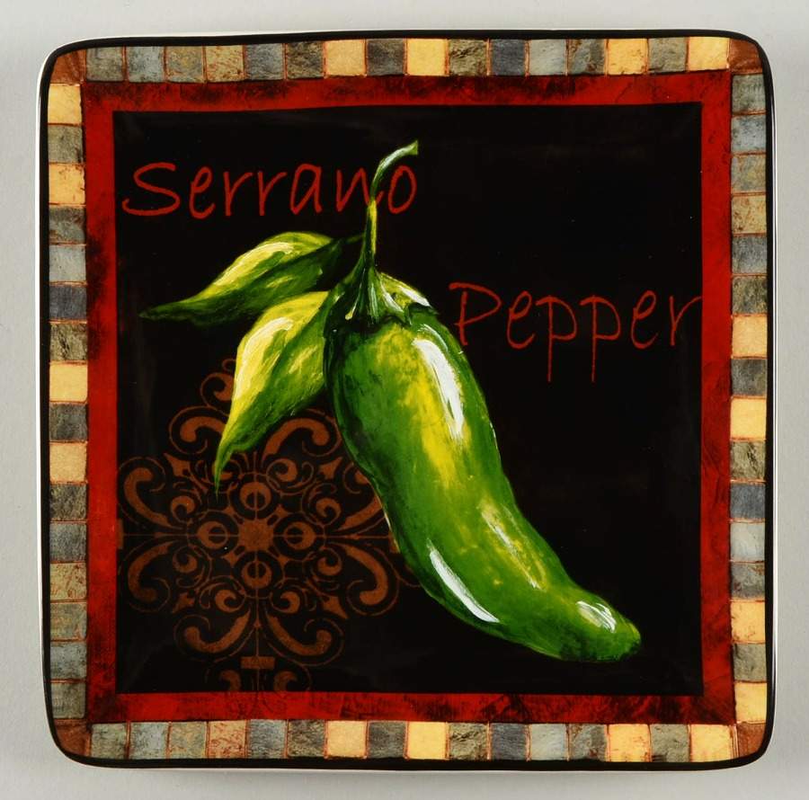 Chili Pepper Square Salad Plate by Certified International-1