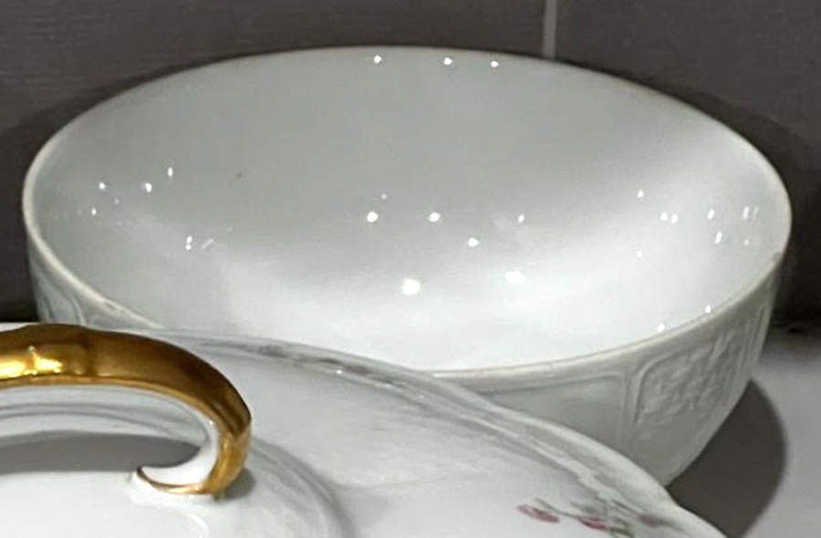 CHF360 Fruit/Dessert (Sauce) Bowl by Charles Field Haviland-1