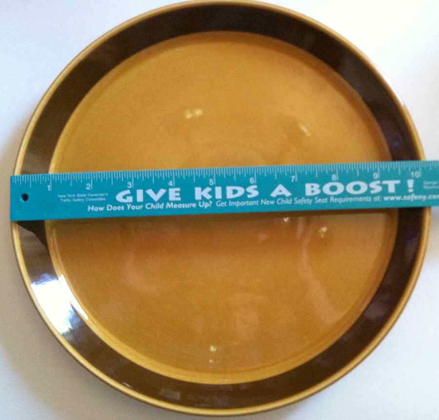CRL9 Dinner Plate by Crown Lynn-1