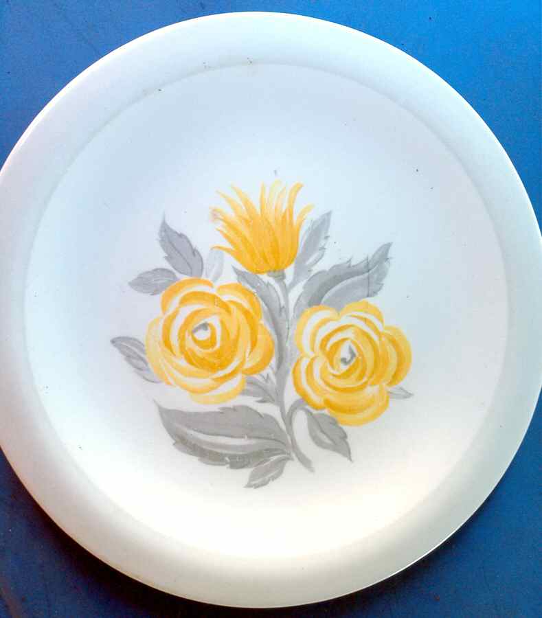 M534 Dinner Plate by Crooksville-1