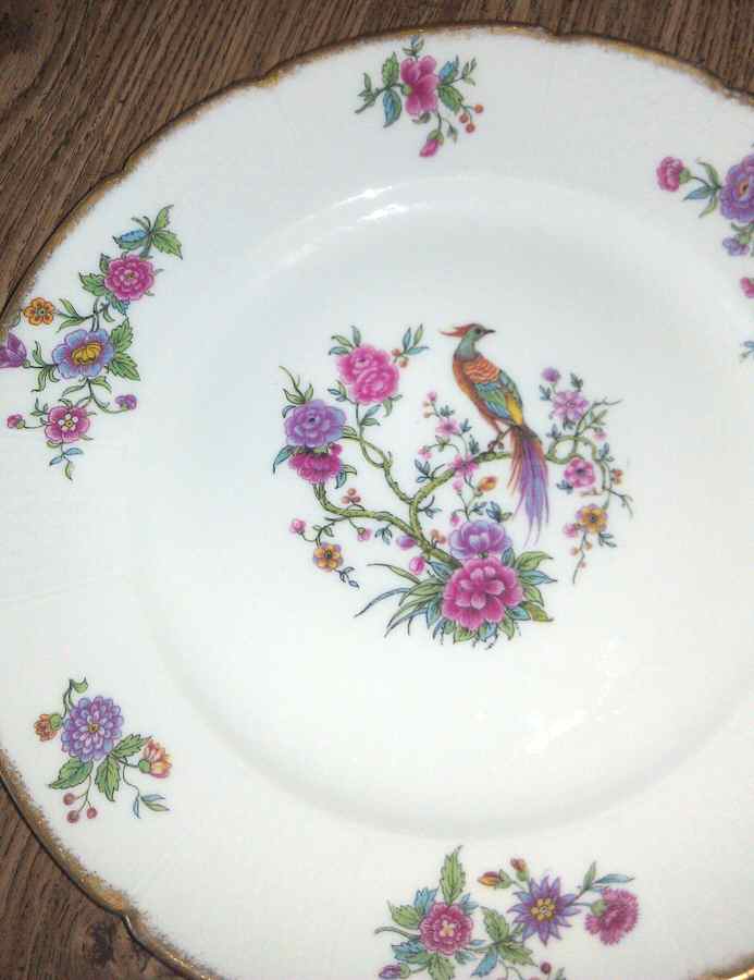 CHF1738 Dinner Plate by Charles Field Haviland-1