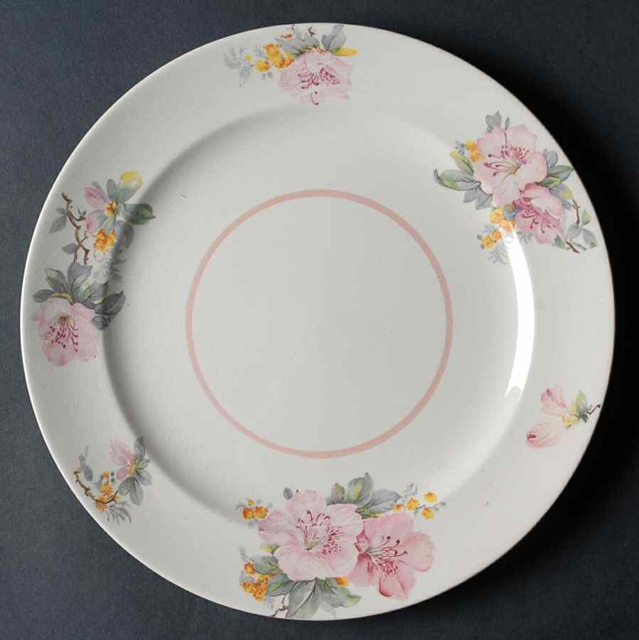1240 Dinner Plate by Crooksville-1