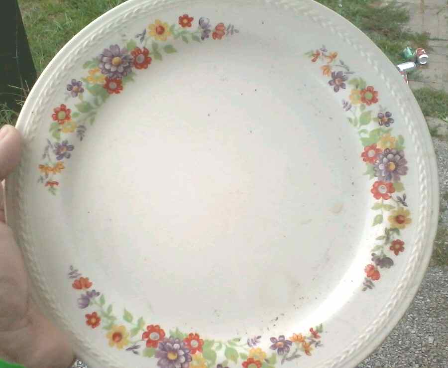 CRP227 Dinner Plate by Crown Potteries-1