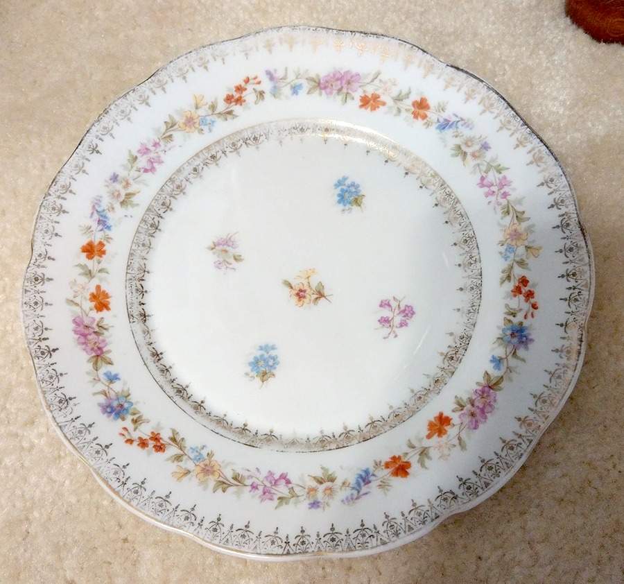 20216 Salad Plate by Carl Tielsch-1