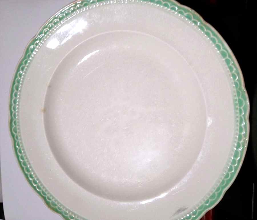 COI109 Dinner Plate by Cronin-1