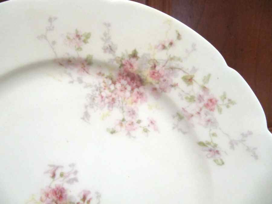 Schleiger 187-1 Dinner Plate by Charles Field Haviland-1