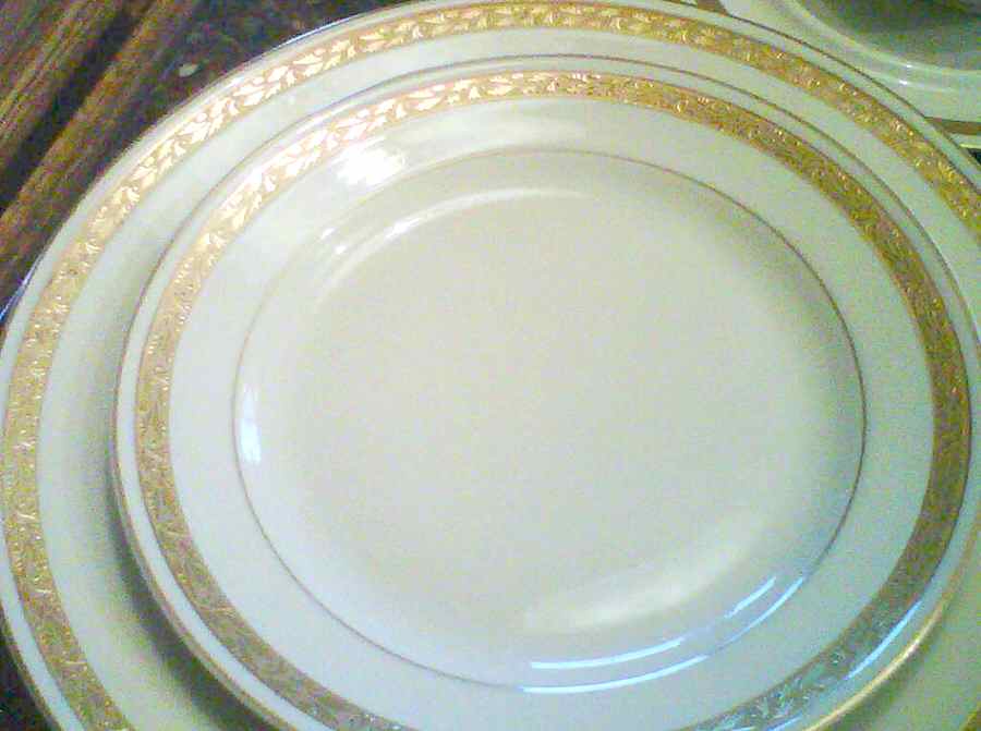 U9100 Dinner Plate by Carl Tielsch-1