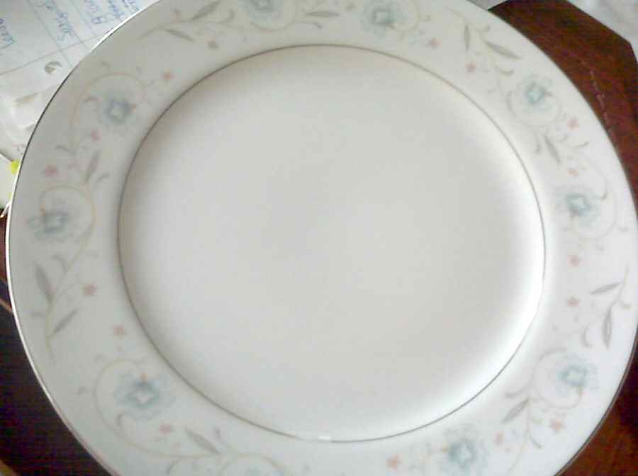CGA6 Dinner Plate by China Garden-1