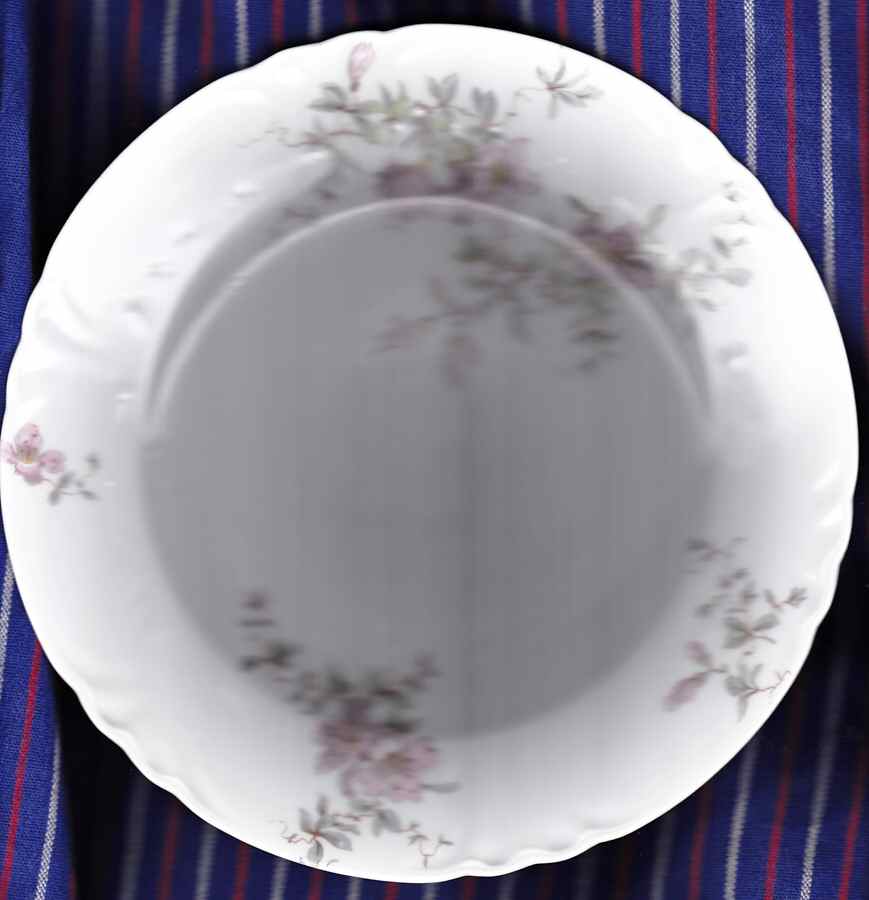 CHF1220 Dinner Plate by Charles Field Haviland-1