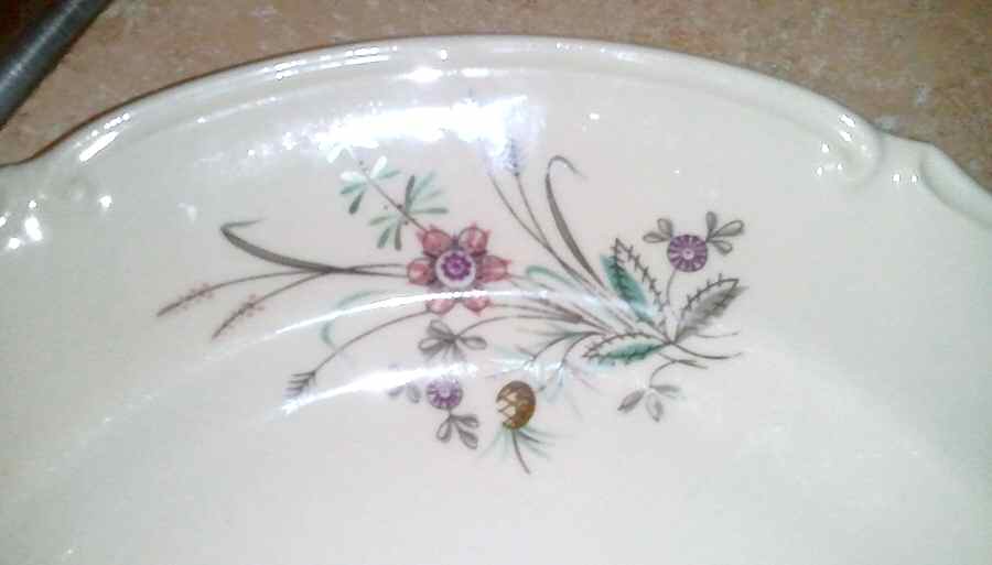 CHZ54 Dinner Plate by Chodziez-Poland-1