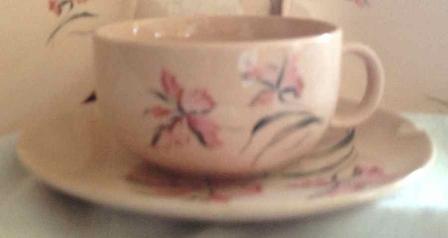 Carnation Delight Flat Cup & Saucer Set by Crooksville-1