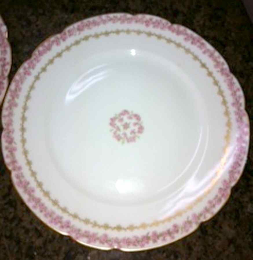 CHF1754 Dinner Plate by Charles Field Haviland-1