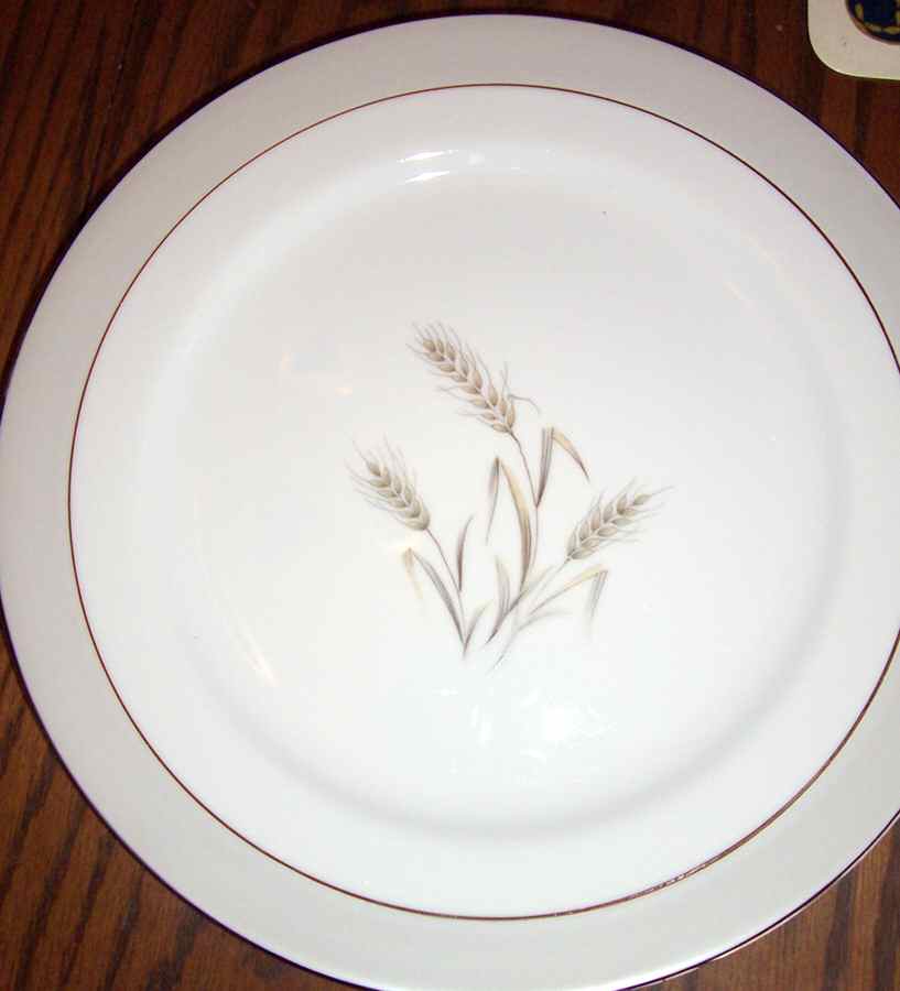CCT3 Dinner Plate by Castle Court-1
