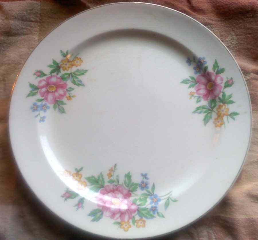 COI152 Dinner Plate by Cronin-1
