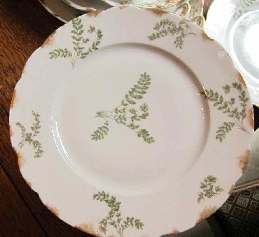 CHF1756 Dinner Plate by Charles Field Haviland-1