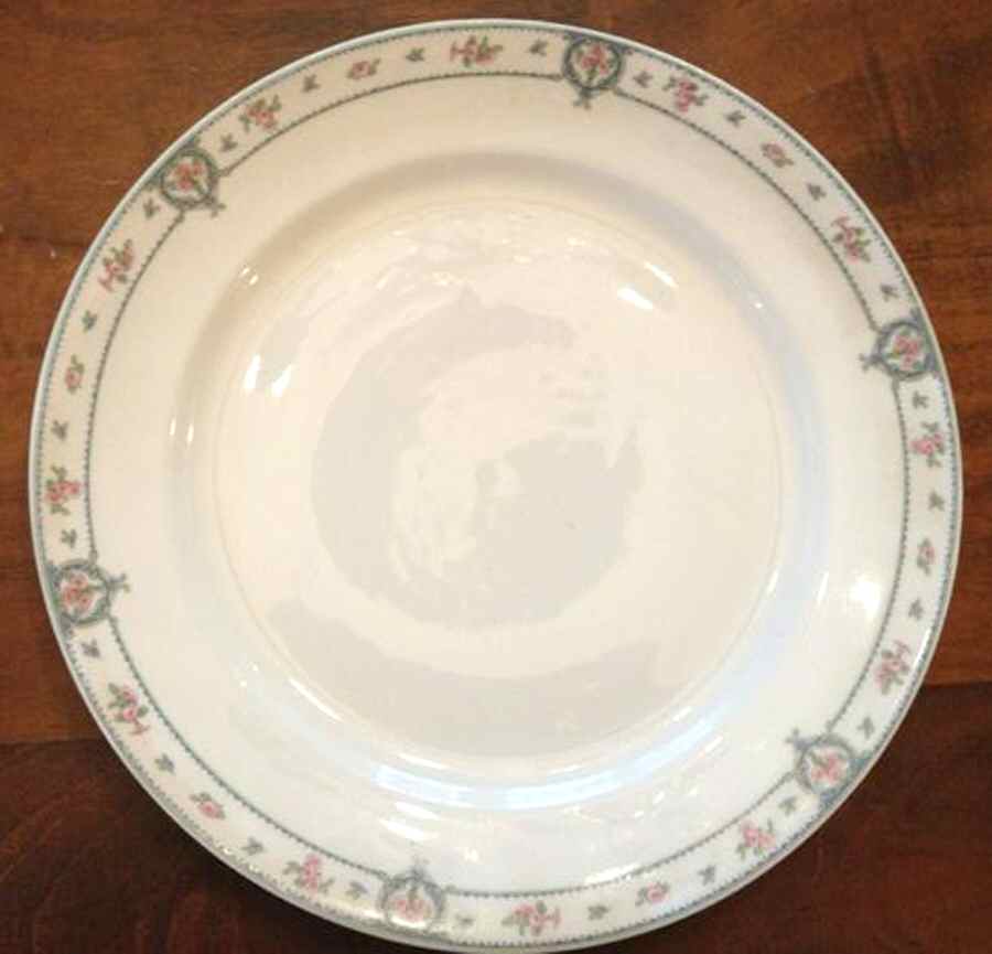 CHF1758 Dinner Plate by Charles Field Haviland-1