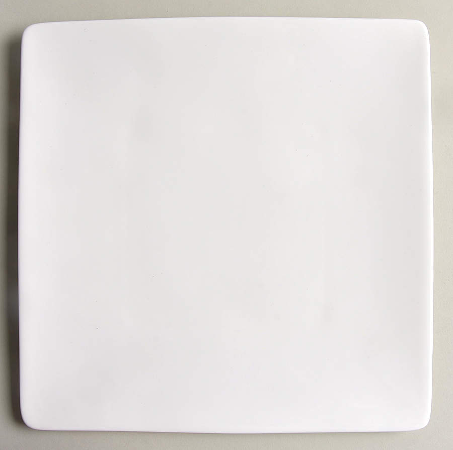 Bennett Square Dinner Plate by Crate & Barrel-1