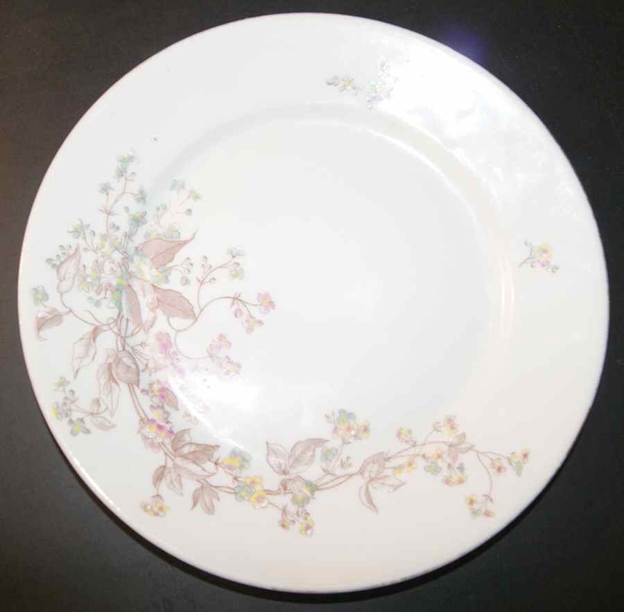 CAR218 Dinner Plate by Carlsbad-1