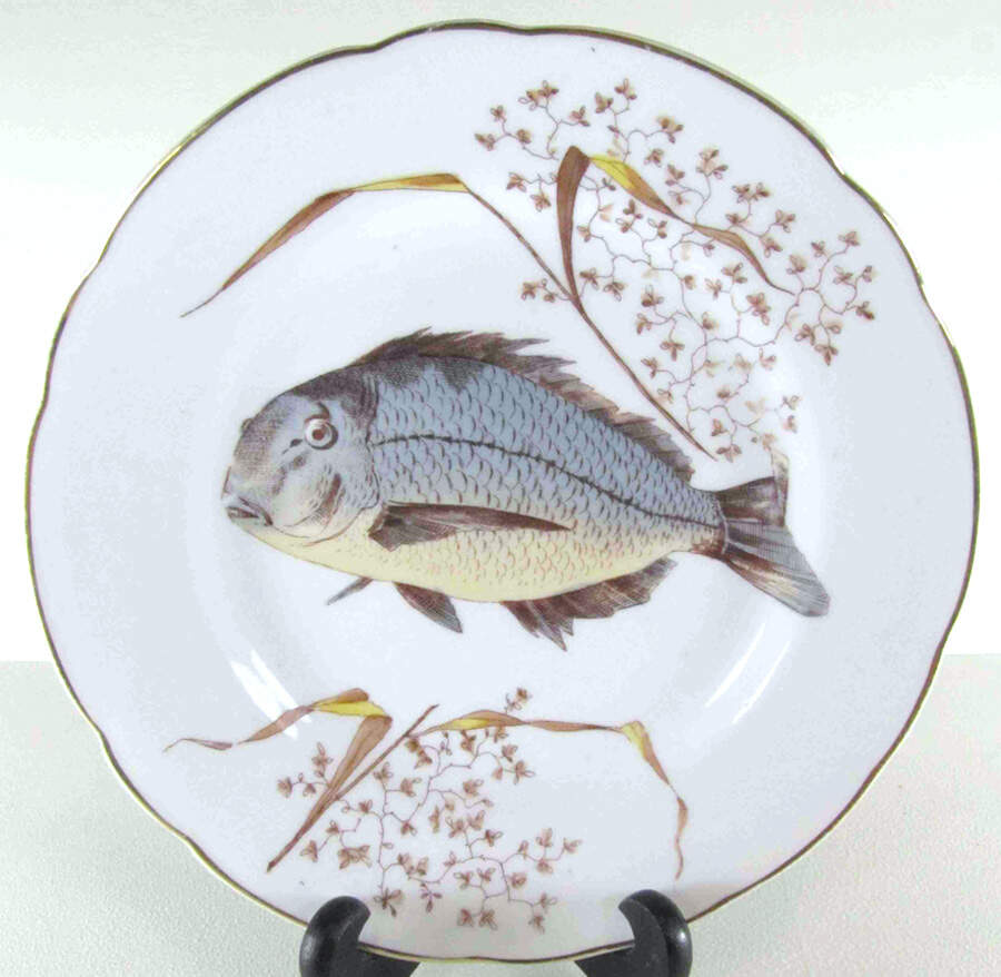 CAR220 Salad Plate by Carlsbad-1