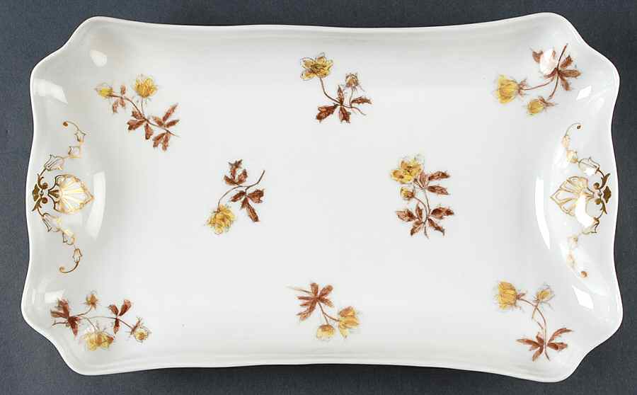 CHF1769 13" Rectangular Serving Platter by Charles Field Haviland-1