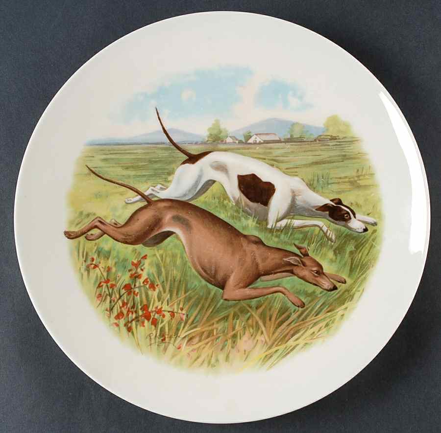 C75 Wall Plate by Castleton (USA)-1