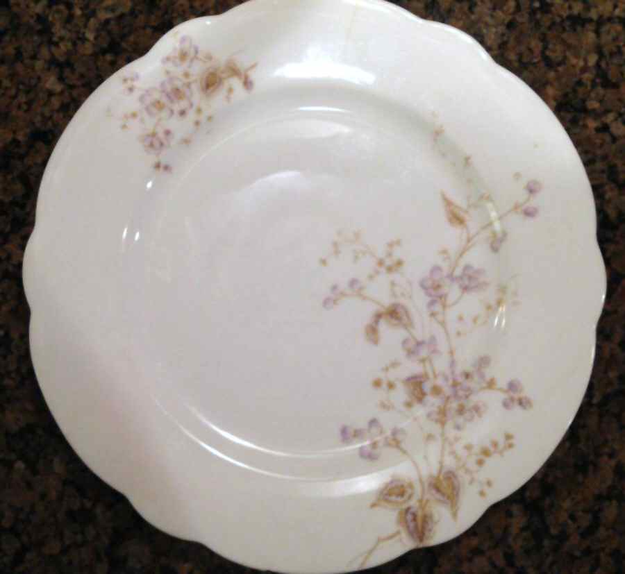 CAR224 Dinner Plate by Carlsbad-1
