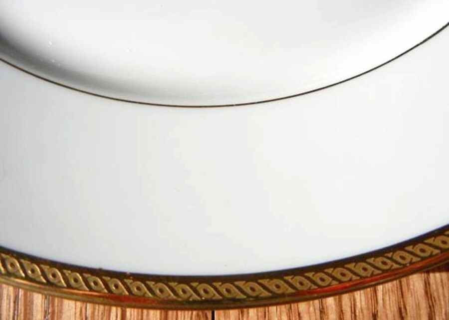 CHF1777 Dinner Plate by Charles Field Haviland-1