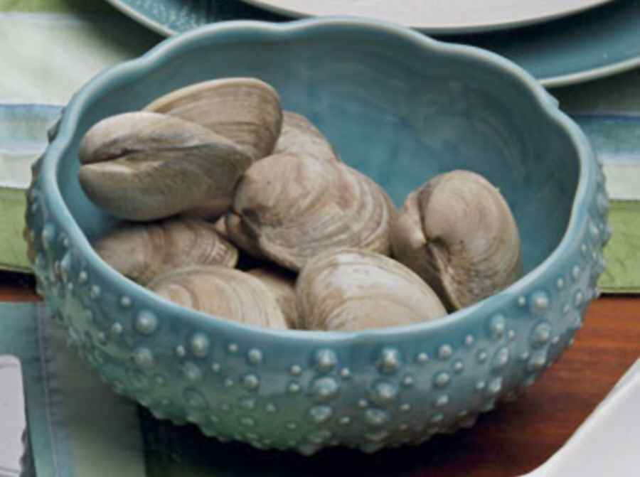 La Playa Coupe Cereal Bowl by Casafina-1