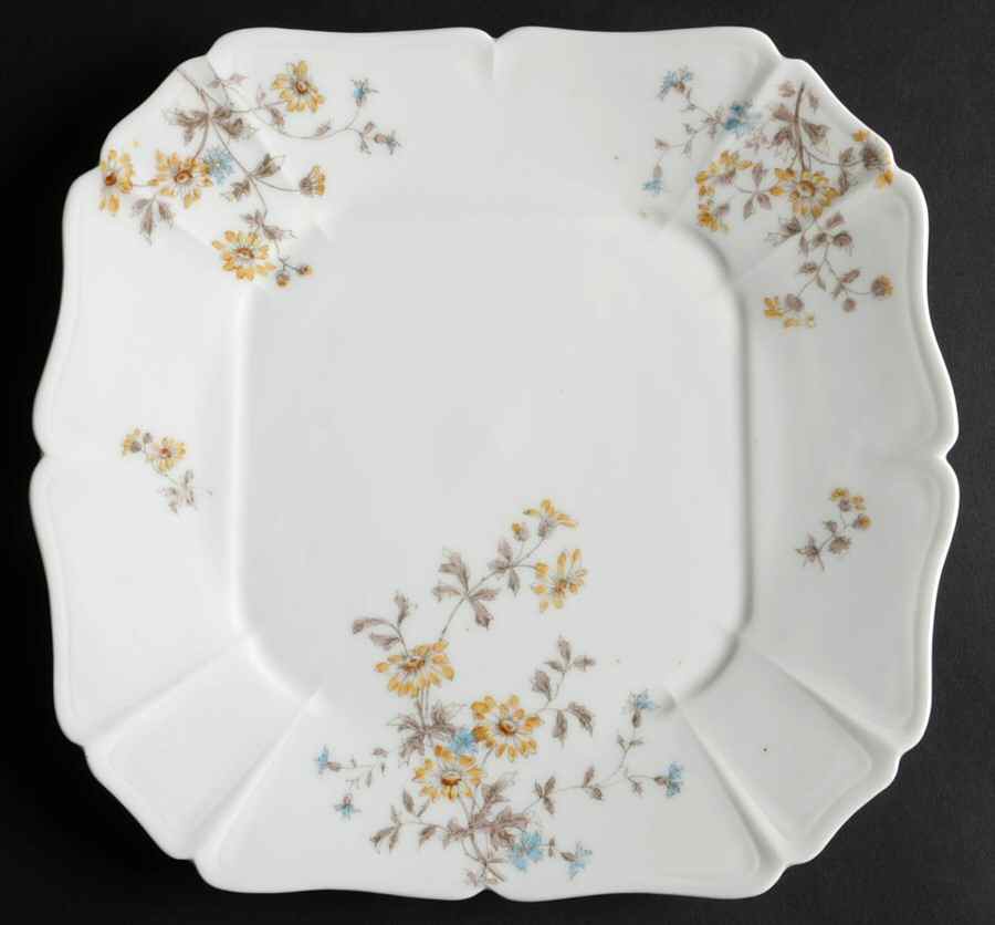 CHF1778 Dinner Plate by Charles Field Haviland-1