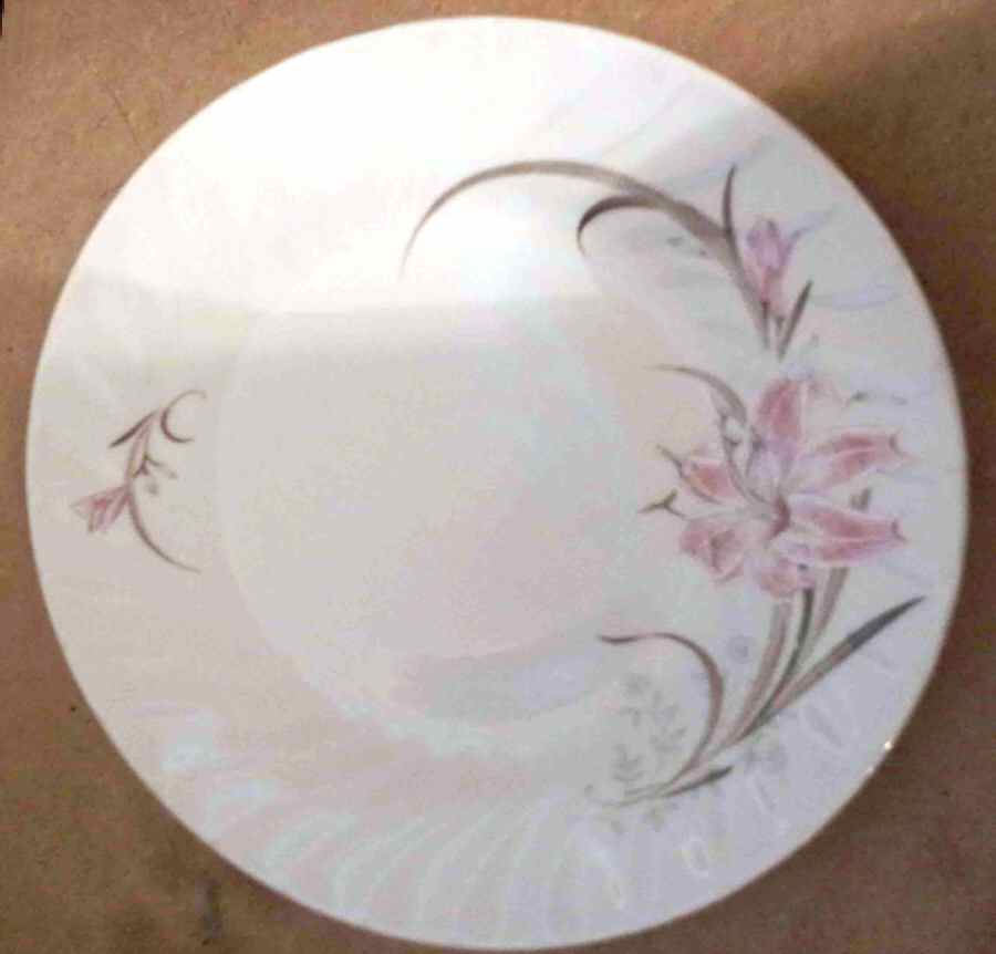 UP17 Dinner Plate by Universal Porcelain Company-1