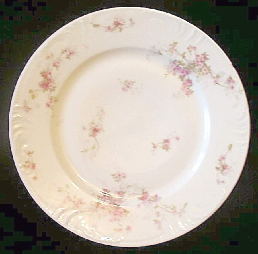 Schleiger 1318-2 Dinner Plate by Charles Field Haviland-1
