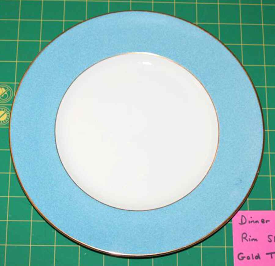 COA216 Dinner Plate by Coalport-1