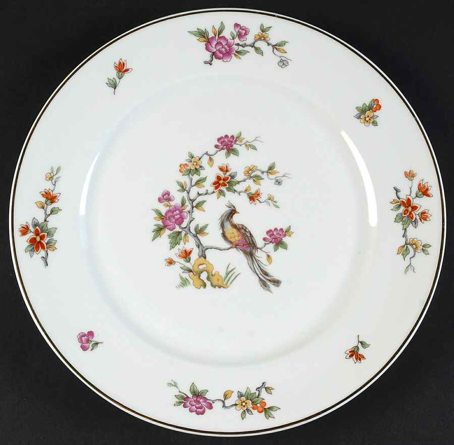 CHF22A (No Verge) Dinner Plate by Charles Field Haviland-1
