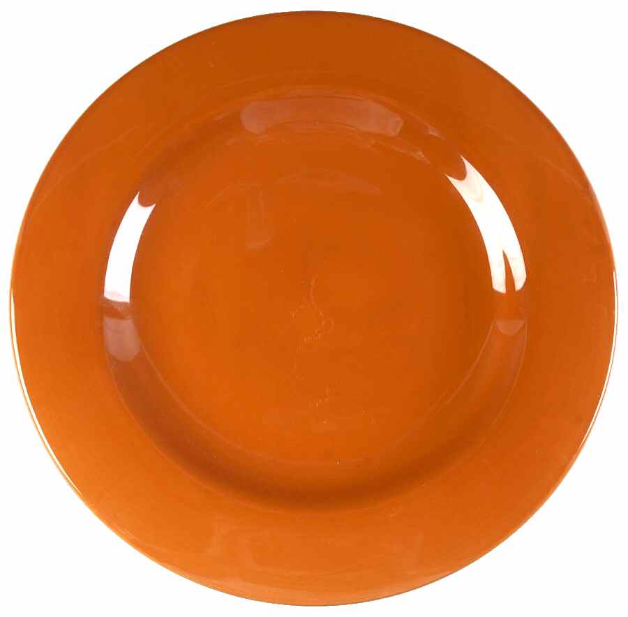 CX676 Large Dinner Plate by China (Made in China)-1